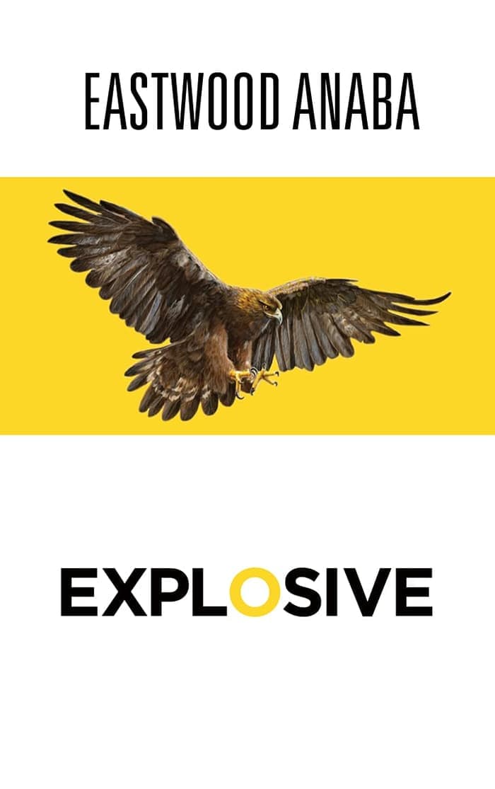 Cover of Explosive by Eastwood Anaba