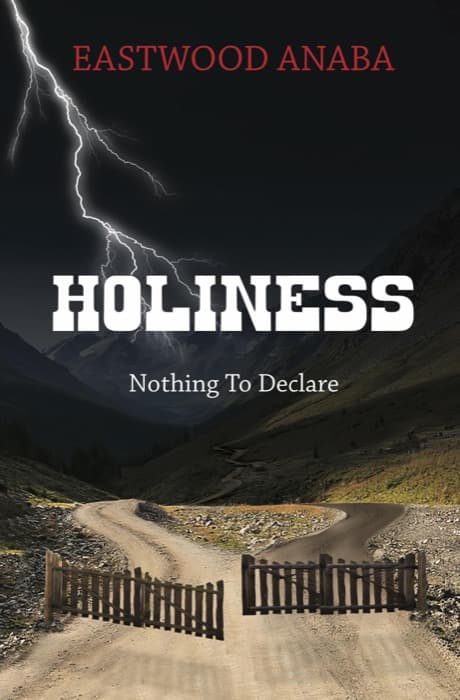 Cover of Holiness by Eastwood Anaba