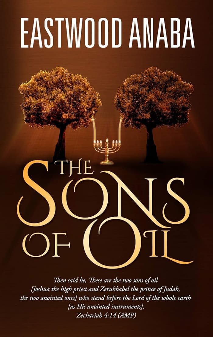 Cover of The Sons Of Oil by Eastwood Anaba