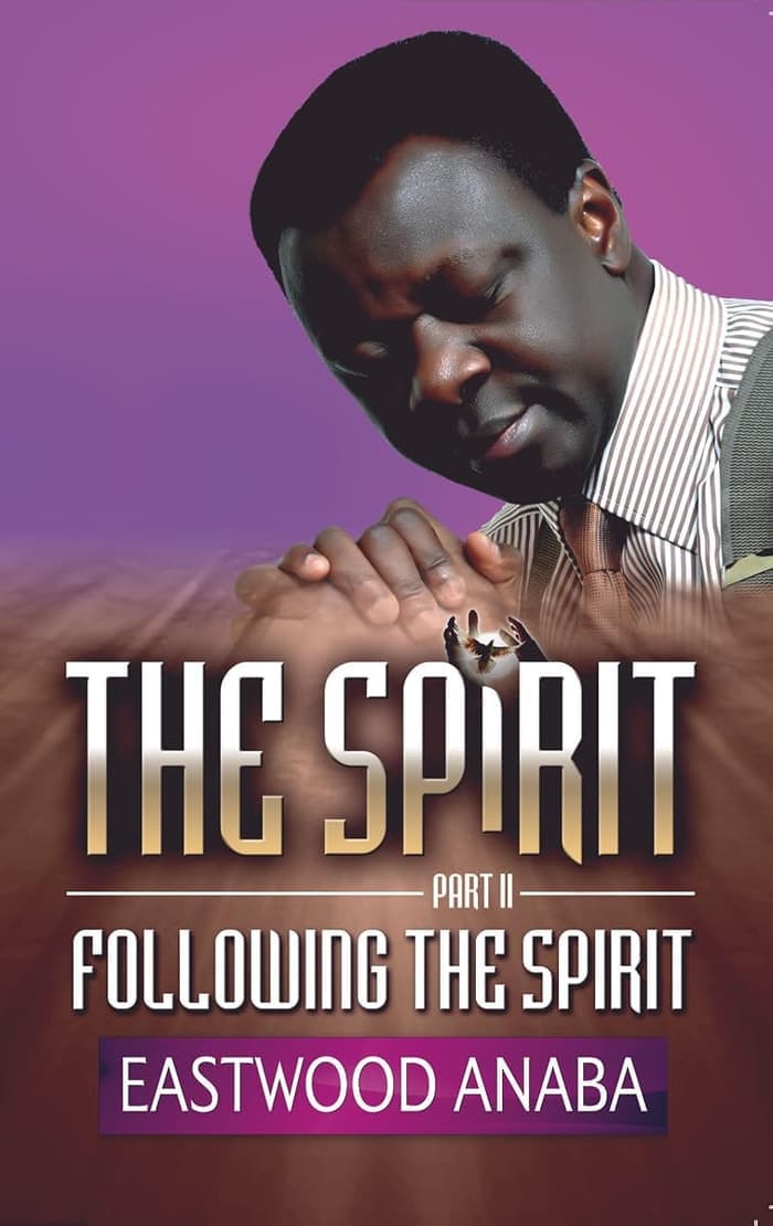 Cover of The Spirit: Following The Spirit by Eastwood Anaba